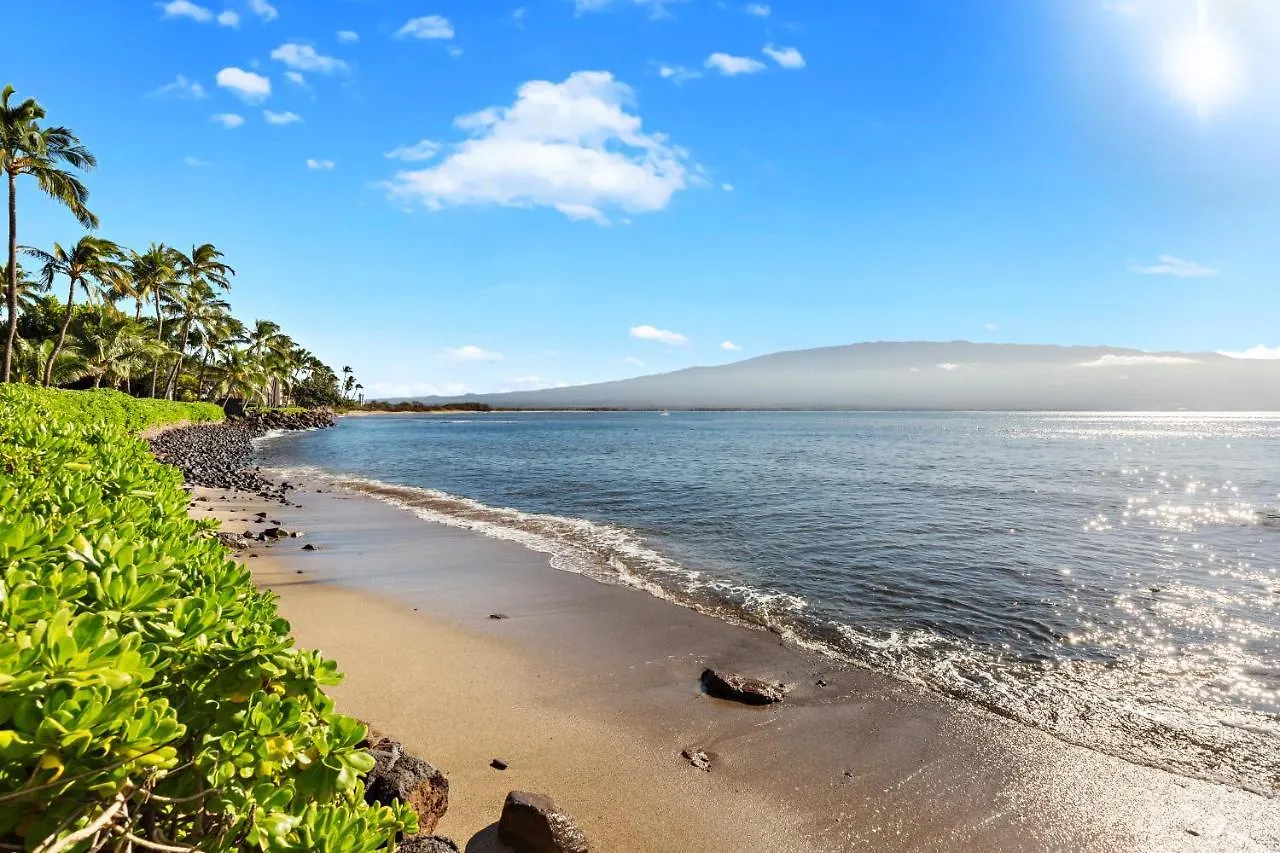 Hébergement de vacances Island Sands 609 Wailuku États-Unis
